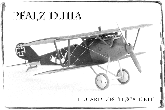 pfalz title